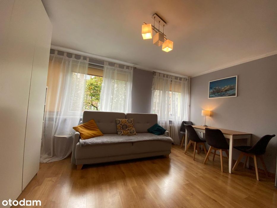 Chabry kawalerka Opole