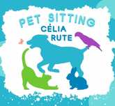 Pet Sitting - Cães, gatos e outros