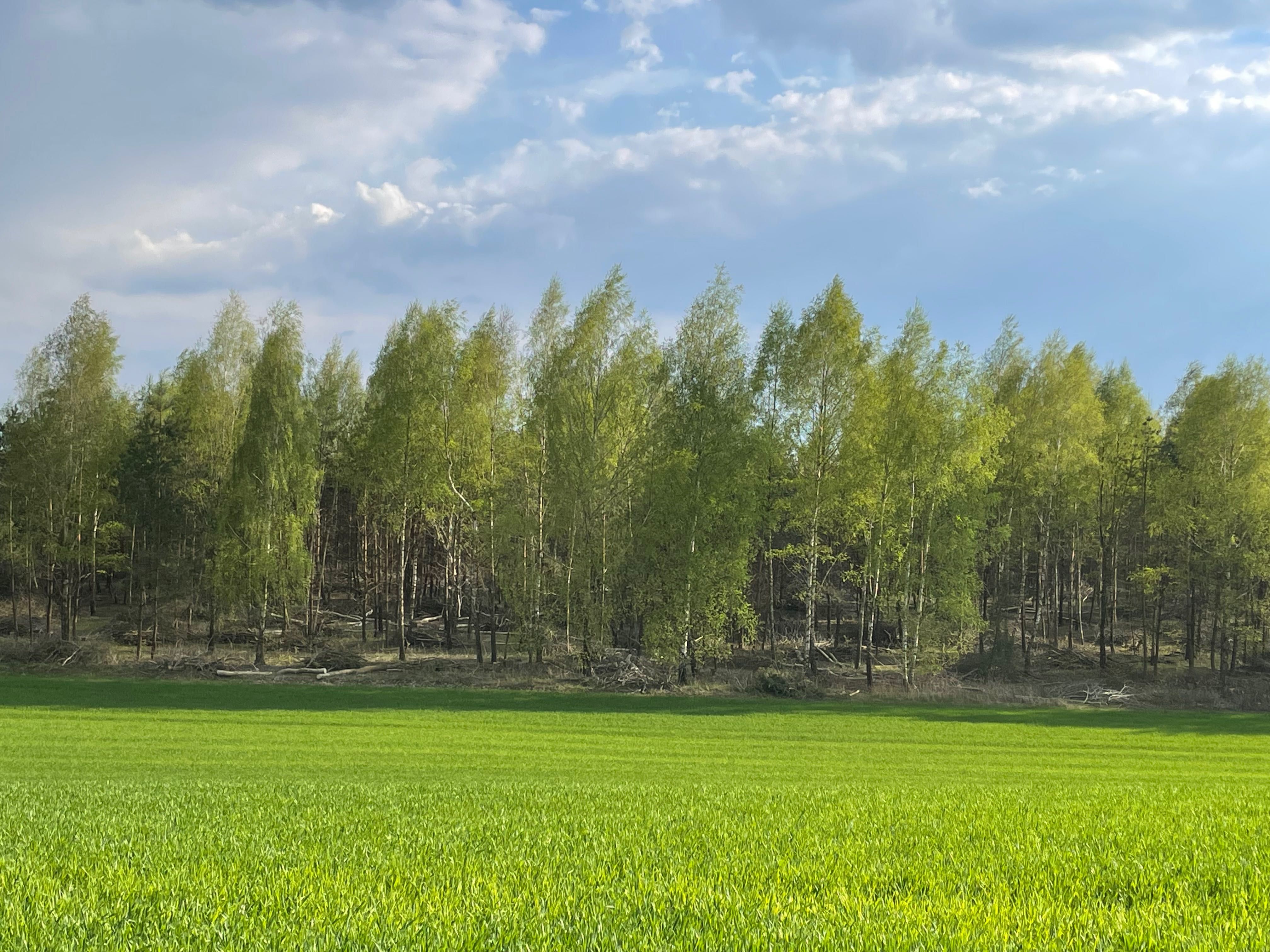 Gospodarstwo agro-leśne