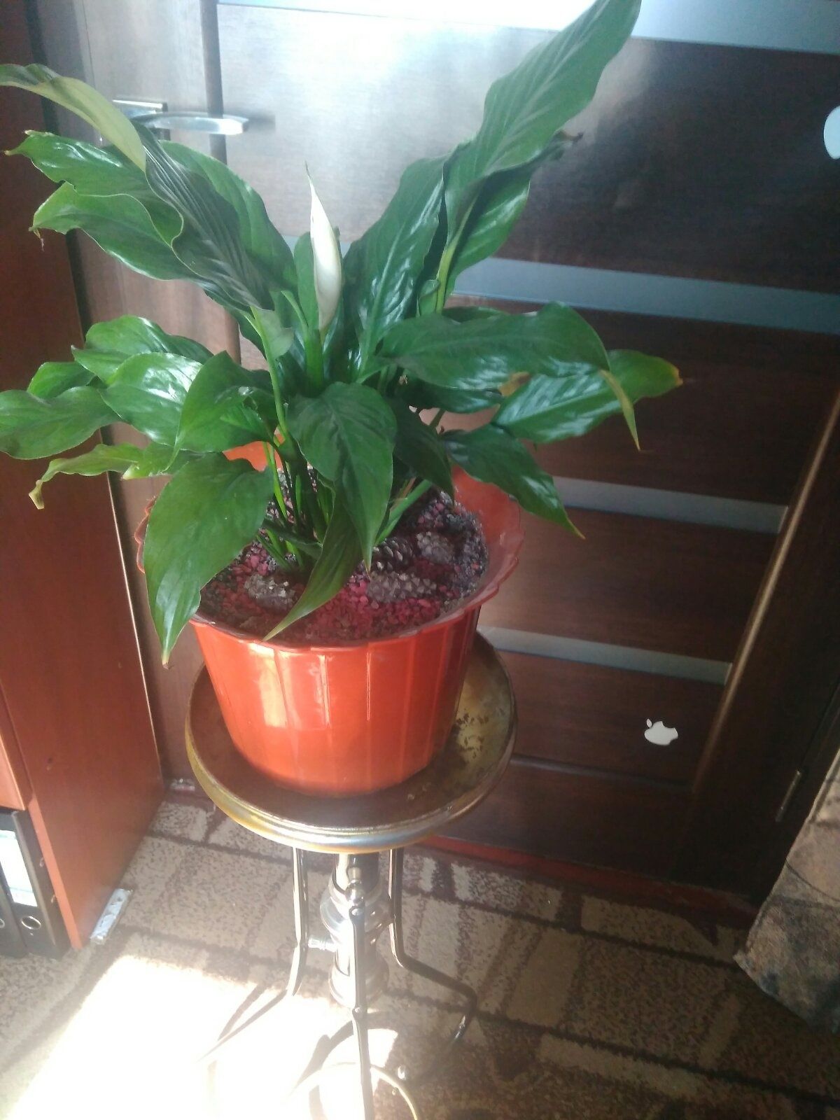 Подставка для цветка, вазона
