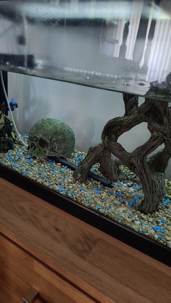 Aquário peixes 100cm