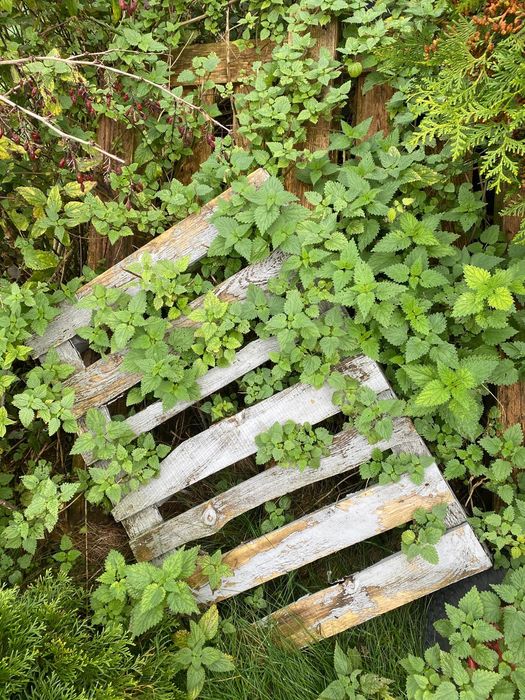 Palety za darmo oddam