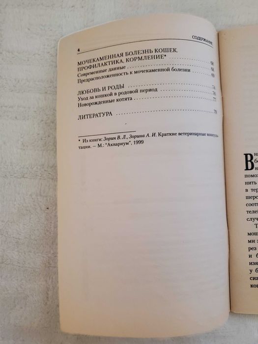 Британские короткошерстные кошки.