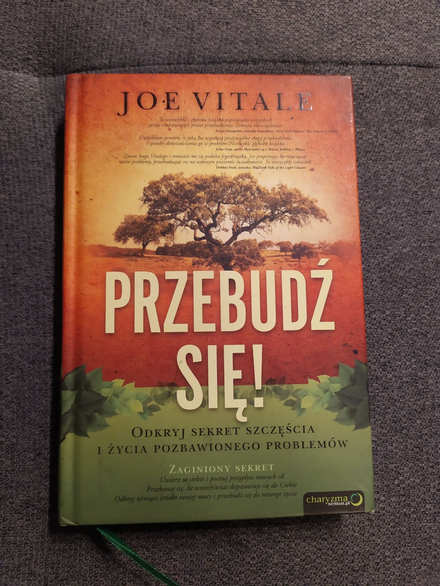 Zbuduj swój dobrobyt! Przebudź się. Joe Vitale
