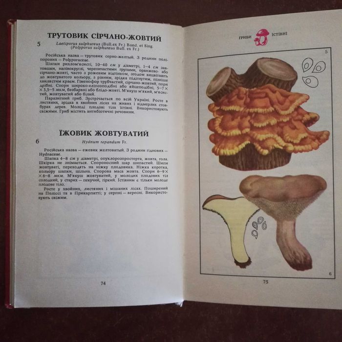 Зерова М. Гриби (їстівні, умовно їстівні, неїстівні, отруйні)