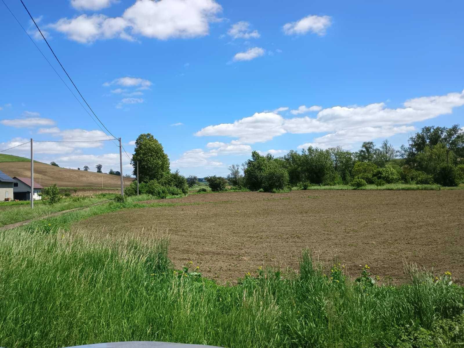 0.331 га землі у с. Великий Кучурів (р-н Дубки за парниками)