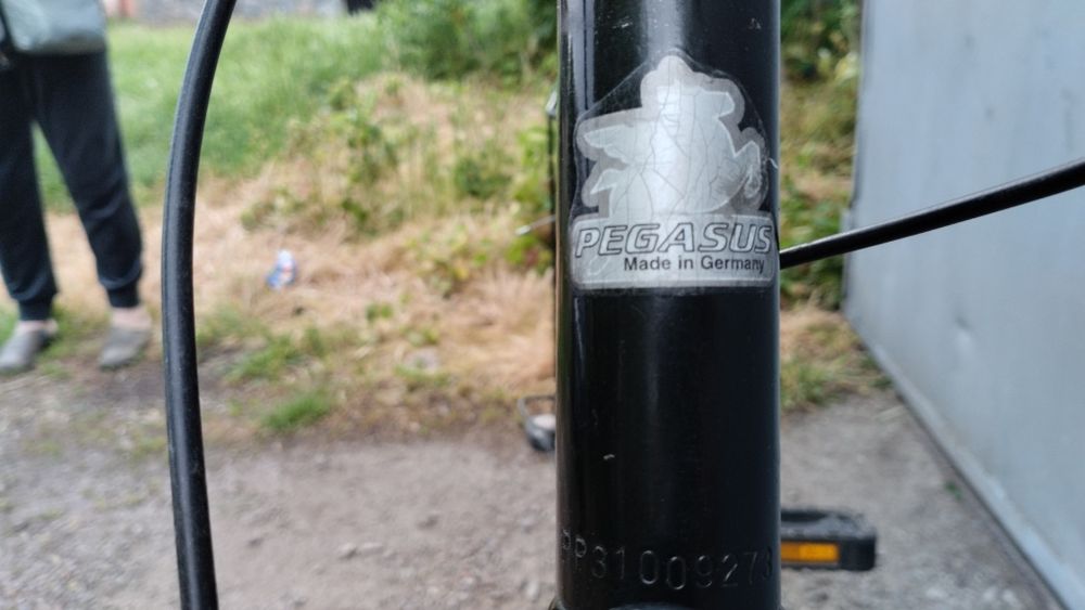 Велосипед Pegasus на планетарной втулке из Германии , Al рама.