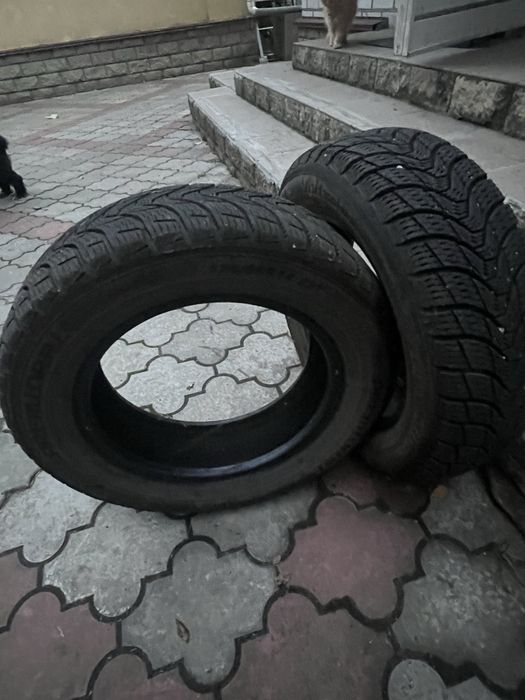 Резина зима premiorri 175/65 r14
