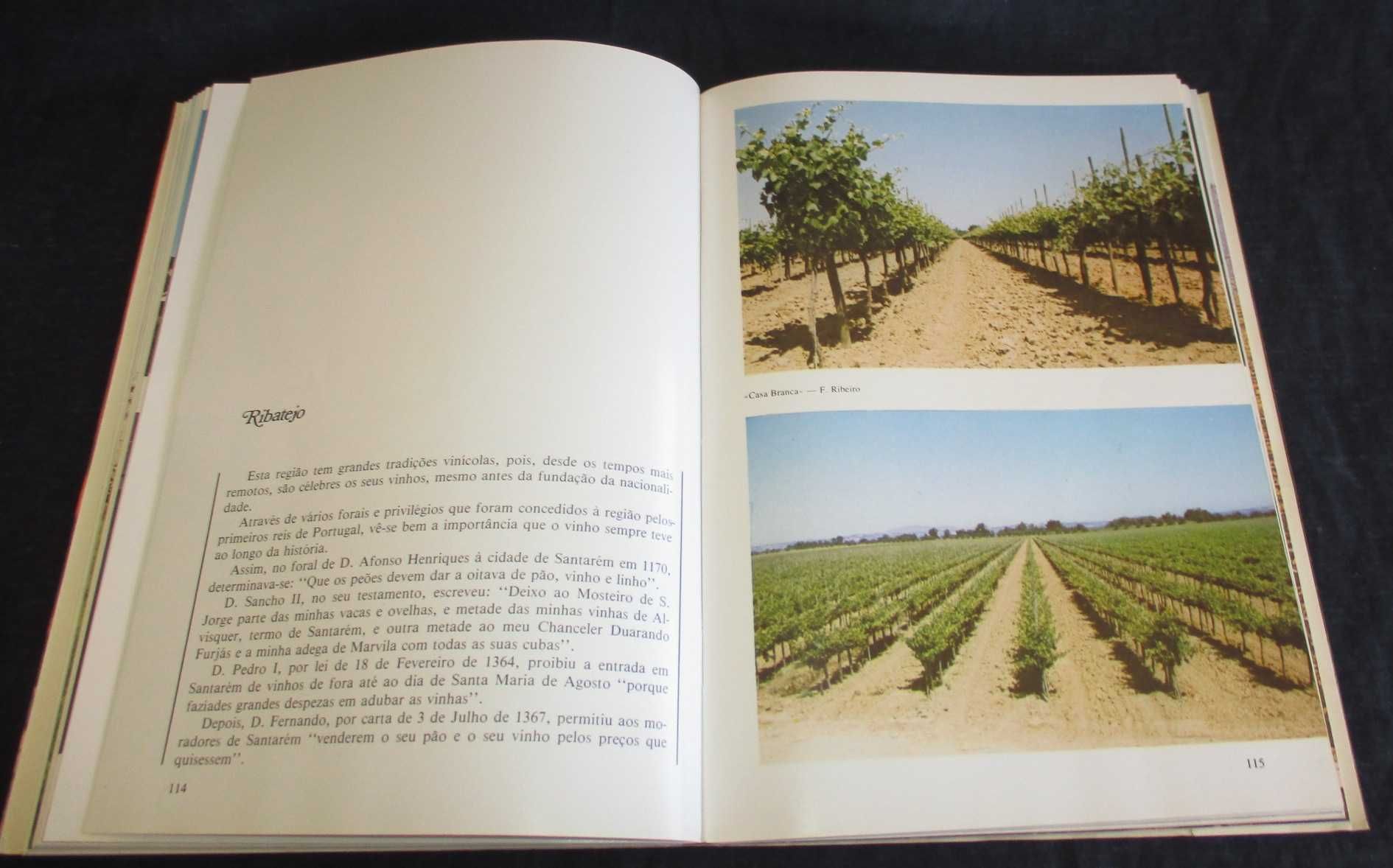 Livro Guia dos Vinhos Portugueses Bento de Carvalho