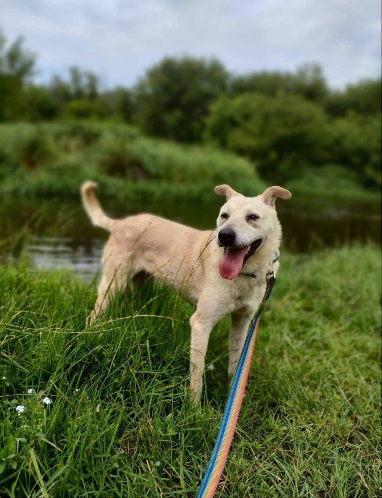 Selena niczym gwiazda do adopcji, za darmo