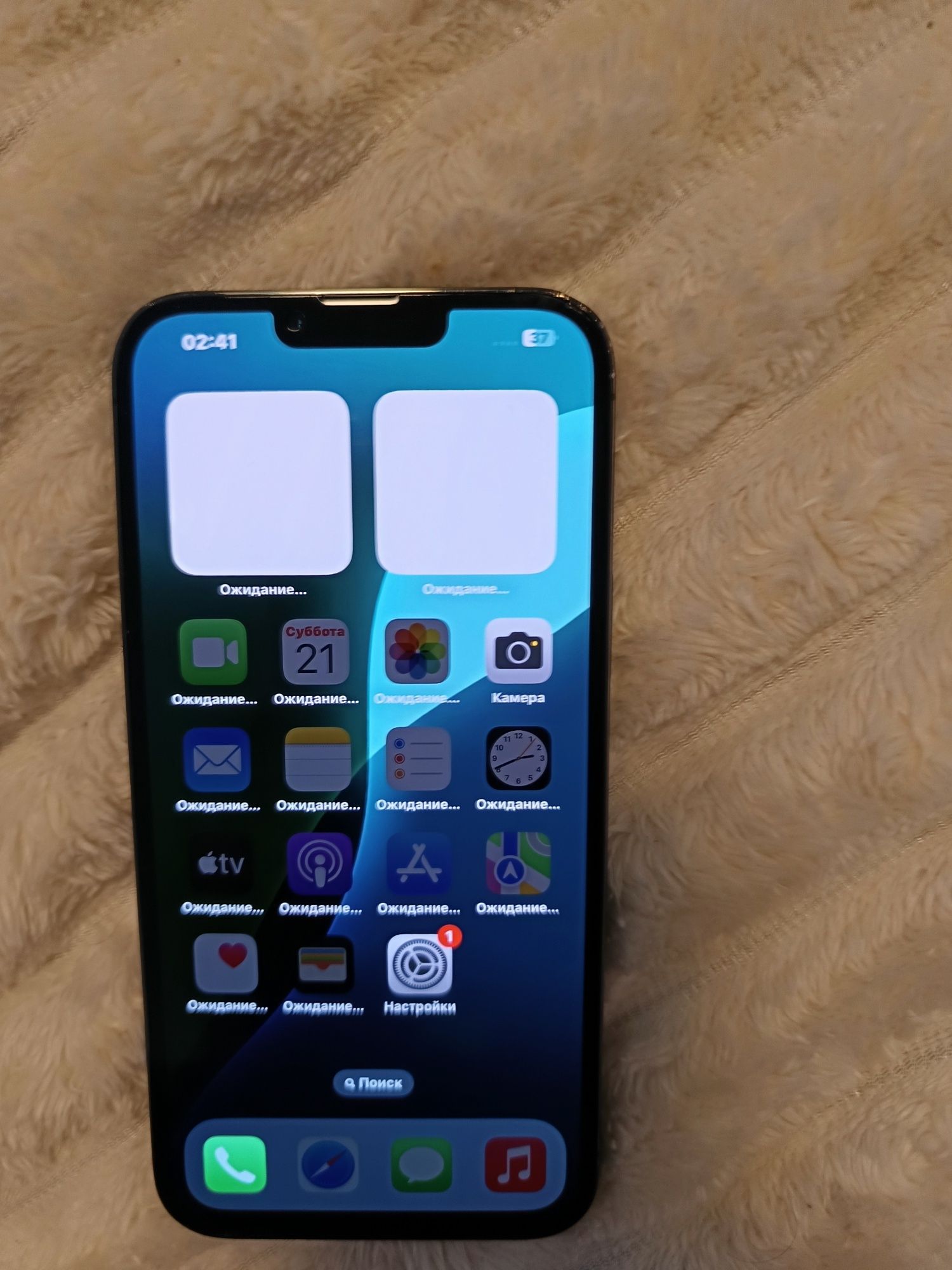 iPhone 13pro max,256bg