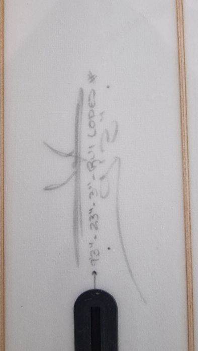 Longboard Lufi Black Bird