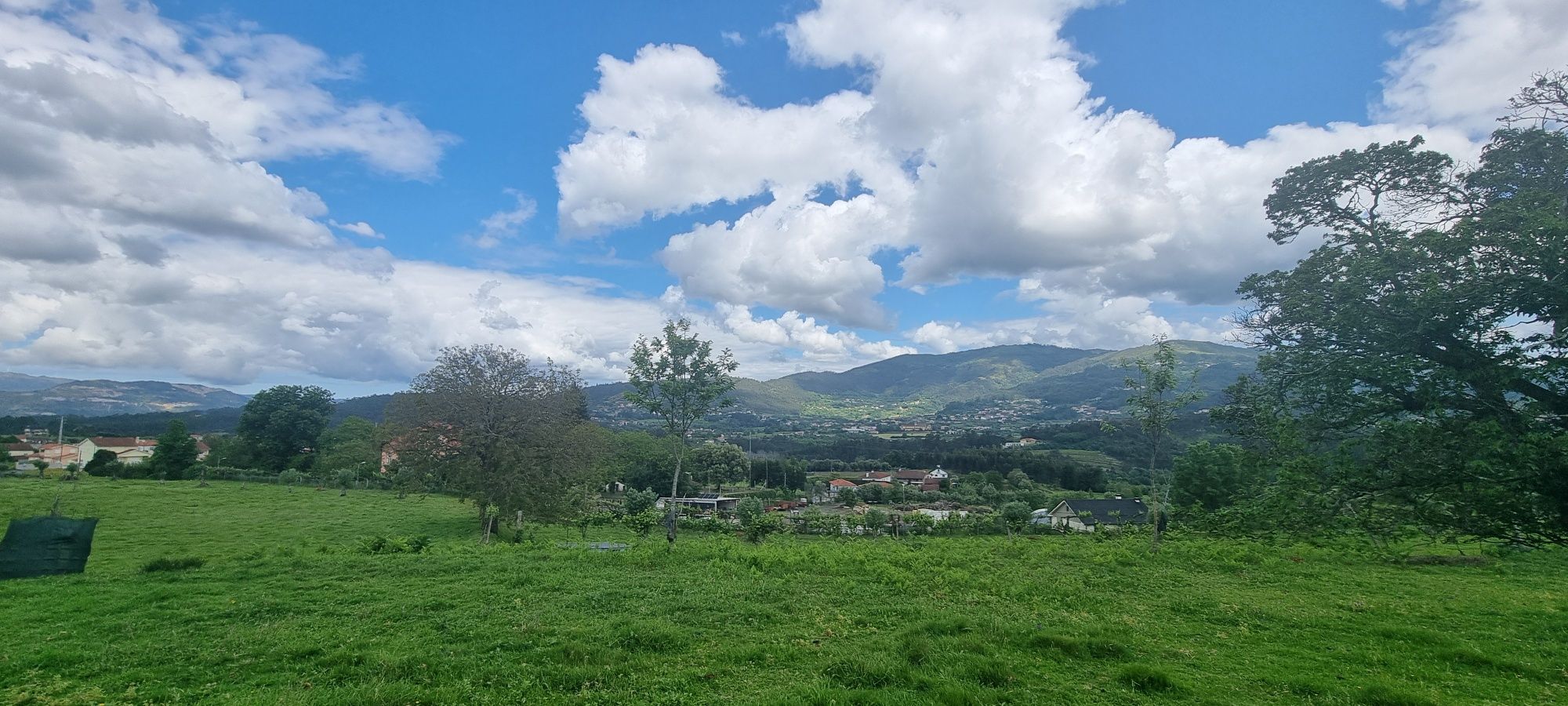 Quinta do Carvalhal