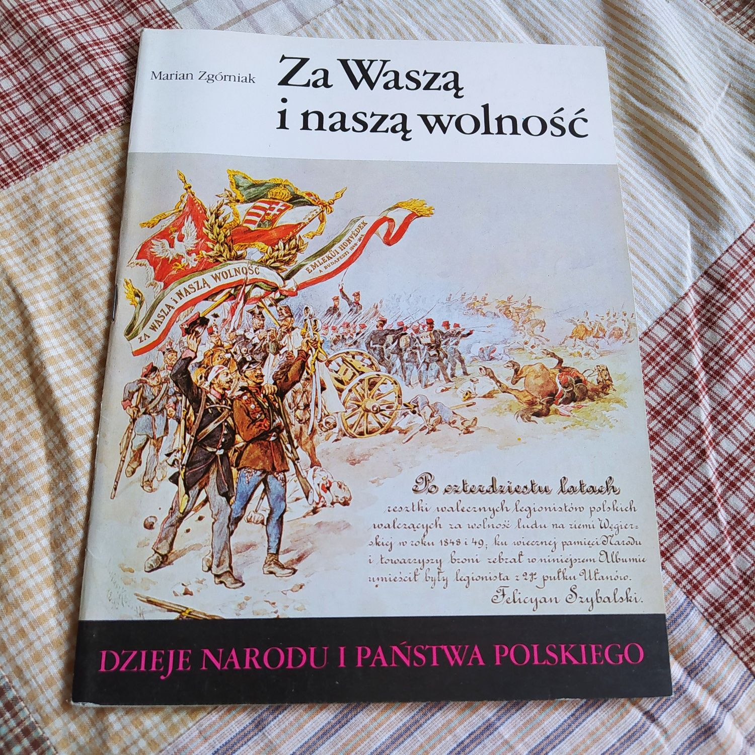 Dzieje narodu i państwa polskiego, t.III-48, Za Waszą i naszą wolność