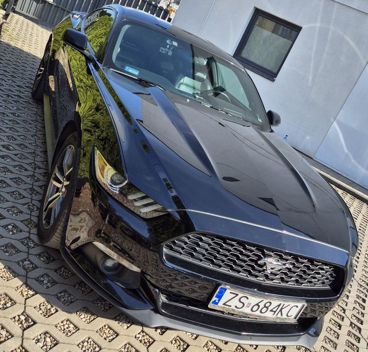 Mustang Performance 2.3 EB Pełna  Fvat 23%
