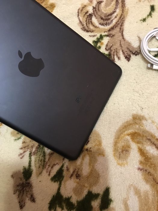 Айпад 7.9 дюймів