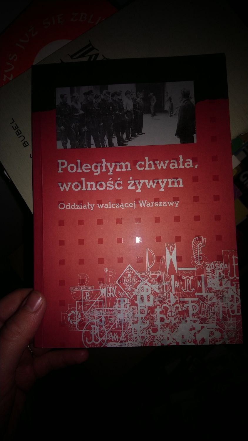 Poległym chwała wolność żywym