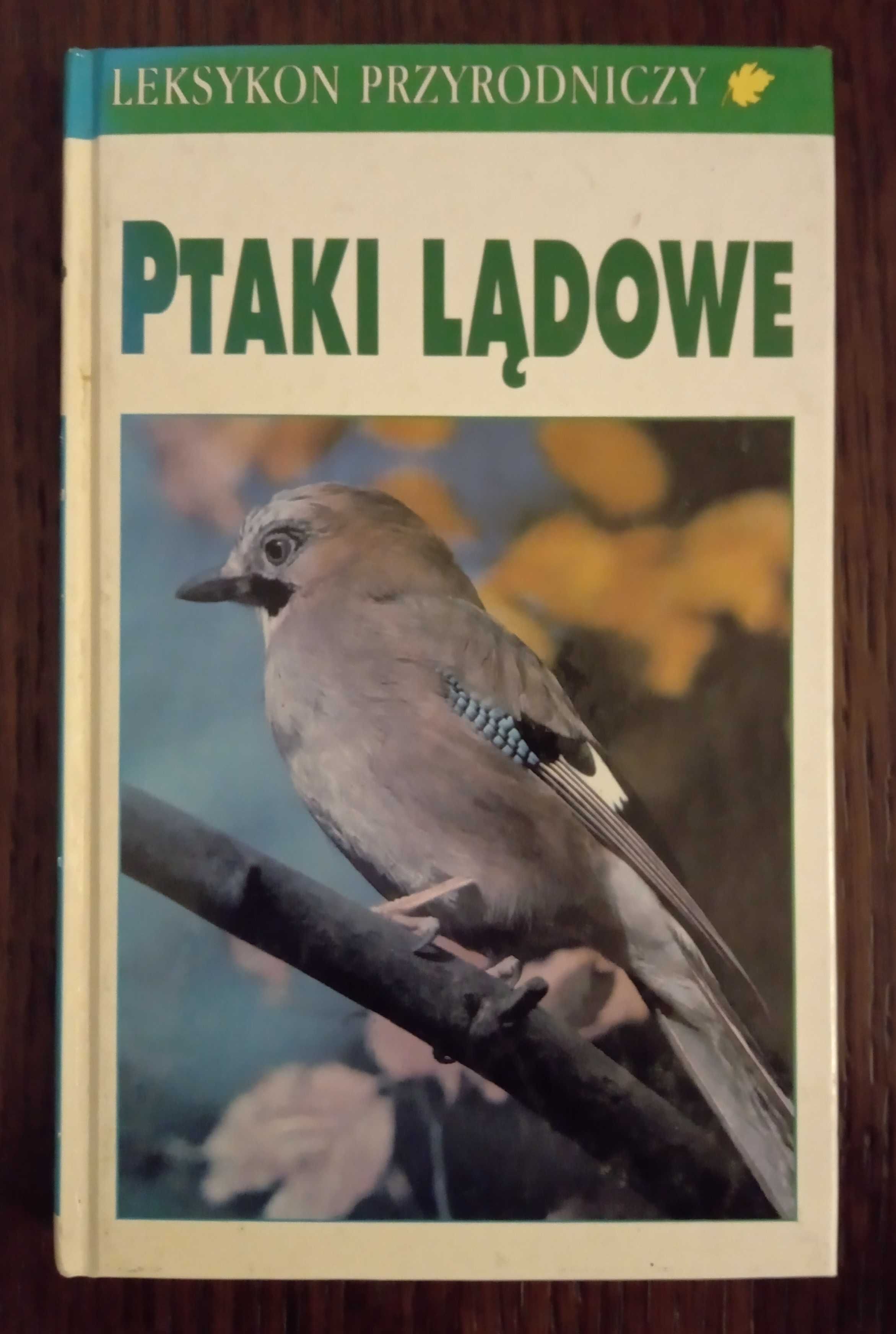 Ptaki Lądowe. Leksykon przyrodniczy - Frieder Saur