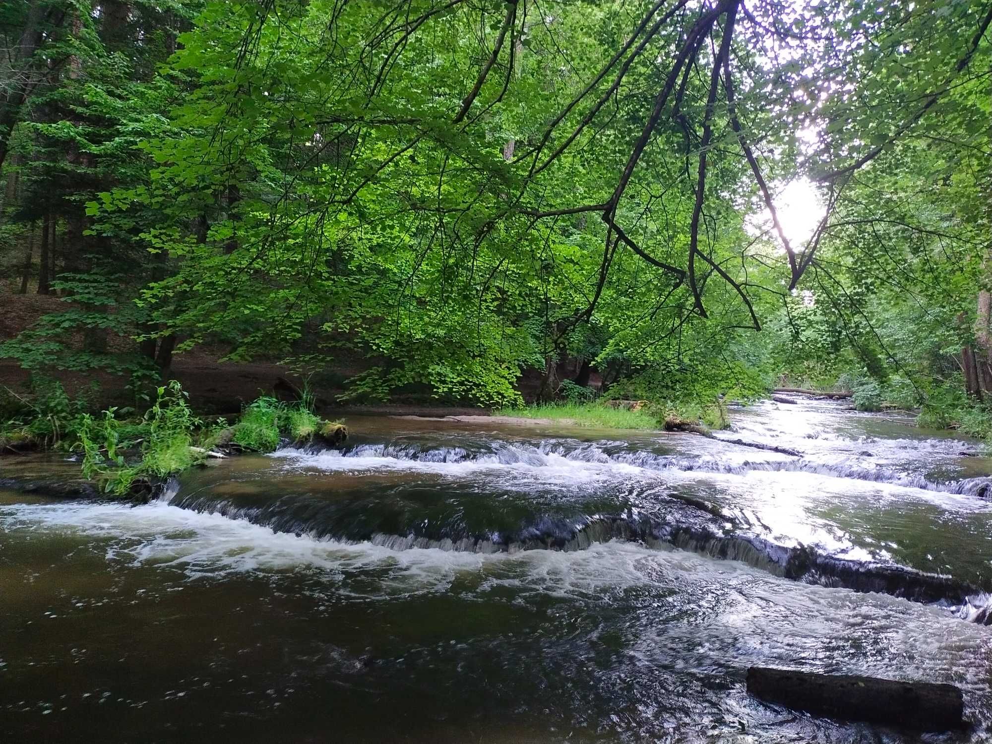 Domek Szumiąca Brzoza