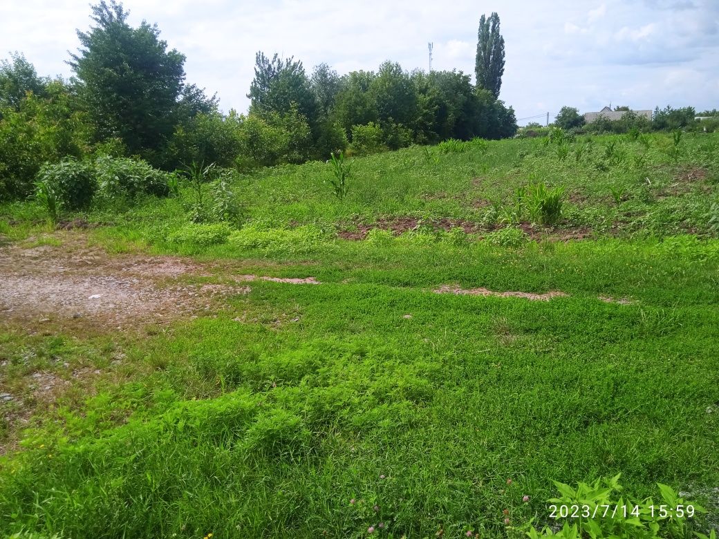 Продам земельну ділянку
