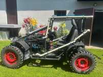 Buggy 1.9 TDI 4X4