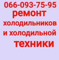 Ремонт холодильников и холодильной техники