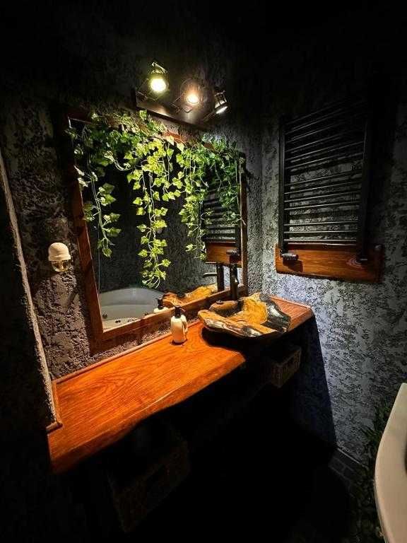 JUNGLE apartament z jacuzzi w centrum miasta