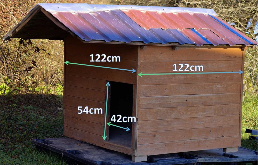 Solidna, ocieplana buda dla psa – duża i trwała