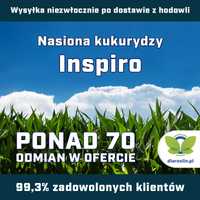 Kukurydza Inspiro F1, C1, opak. 50 tys.n. zap. OptiPlus | dlaroslin.pl