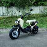 2005 Honda Zoomer 50 AF58 AF55E JDM