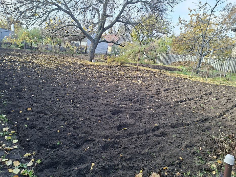 Покос травы,уборка участка,демонтаж ,вывоз веток,дробление веток,спил