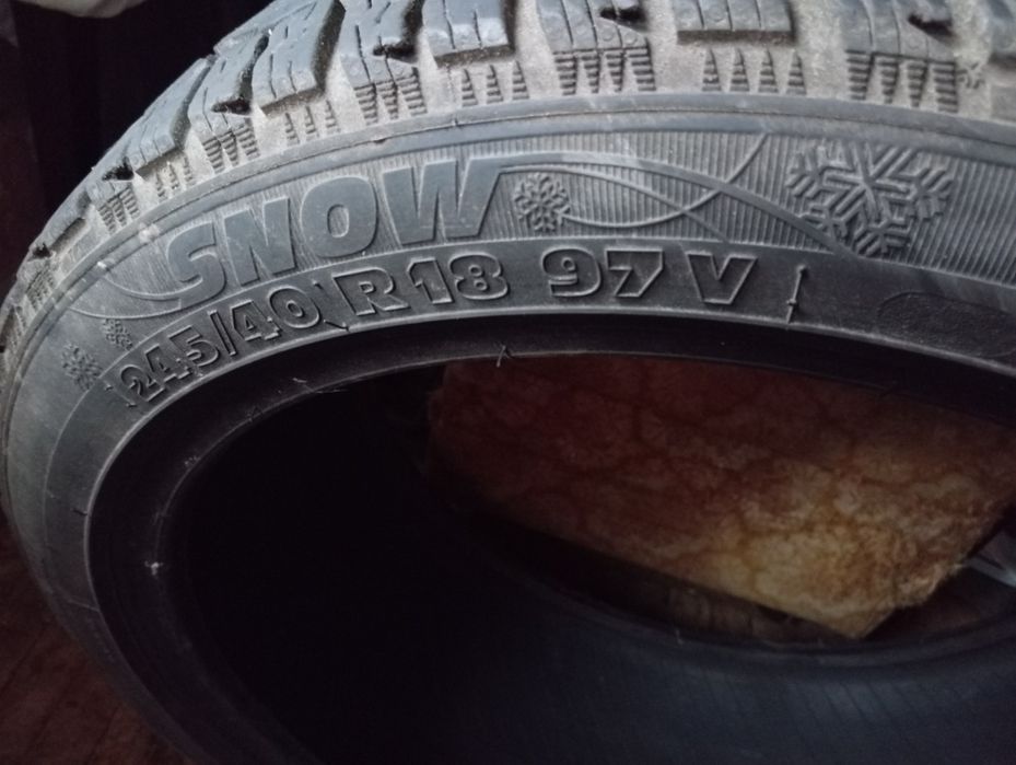 Зимова ризина.Вживана.