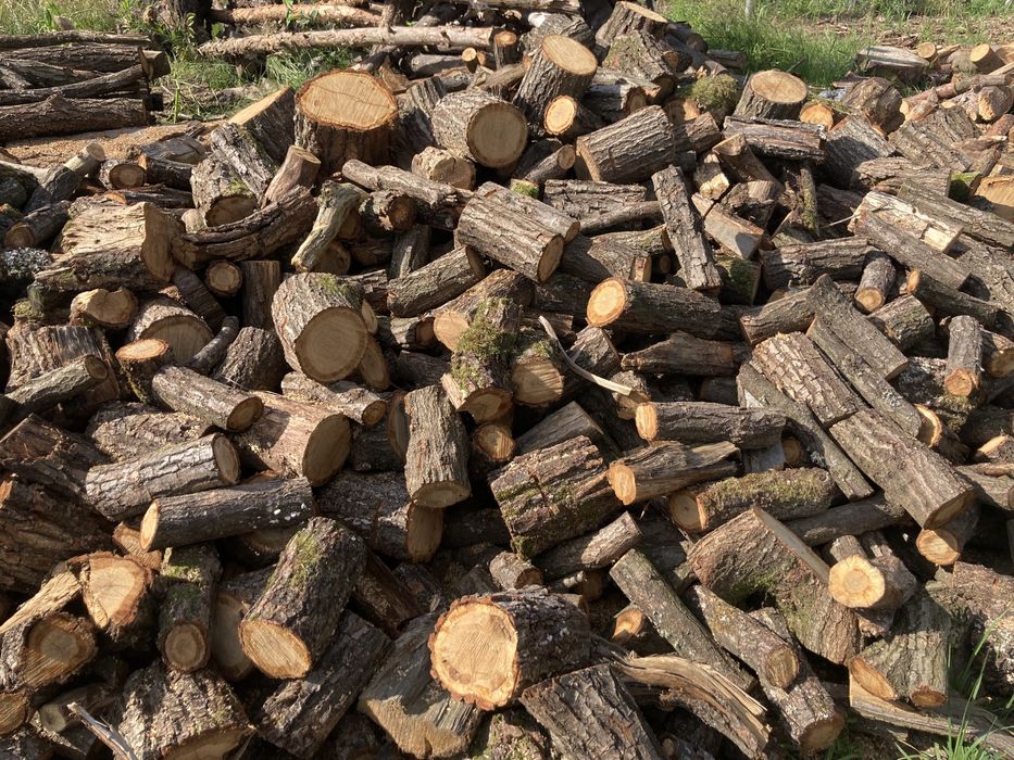 Drewno opałowe i kominkowe dębowe i grabowe