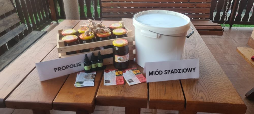 Miód spadziowy z własnej ekologicznej pasieki