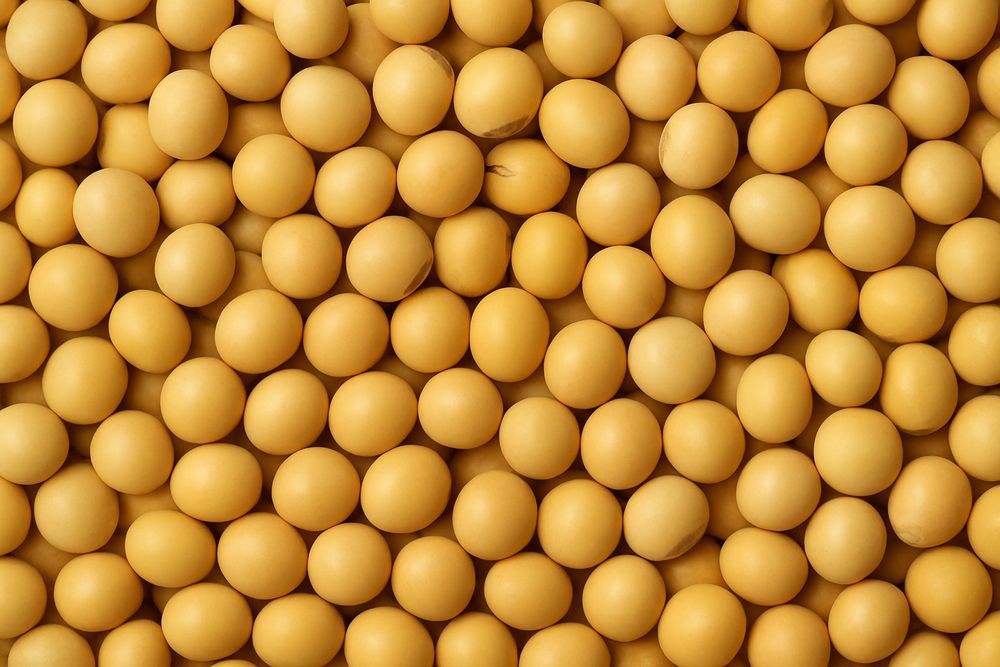 Агрологістичні послуги з передачі врожаю сої (Ф2 / Ф3) 
Працюємо з