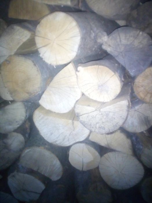 Drewno bukowe opałowe buk drzewo z transportem