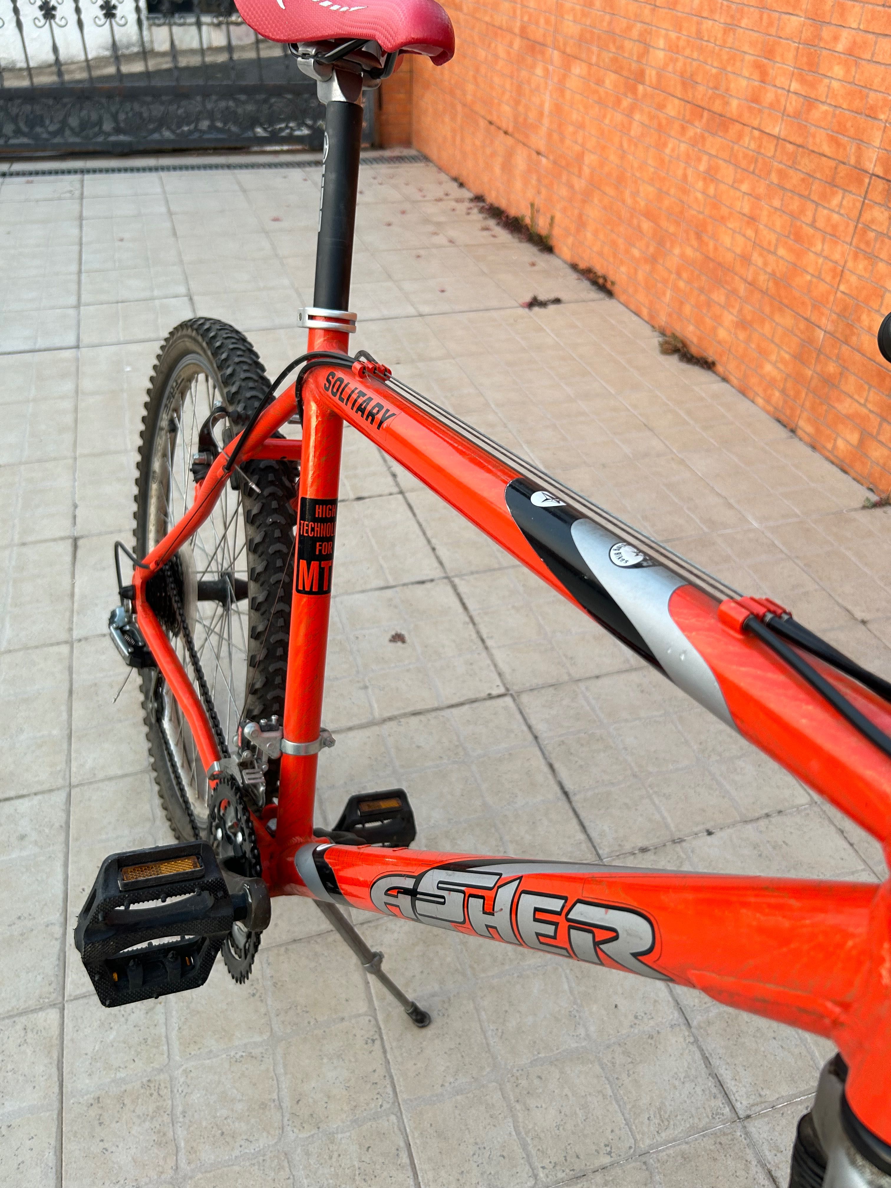 Bicicleta Asher Solitary Roda 26