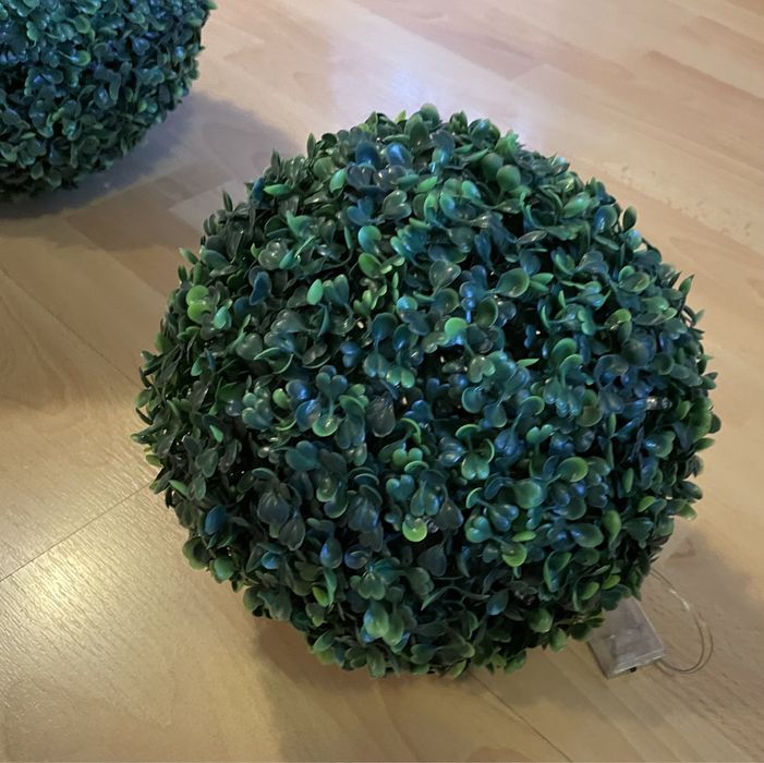 Kula Bukszpanowa 24 cm z białą donicą