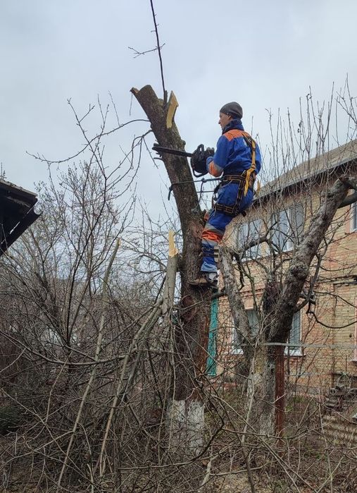 Зріз та обрізка дерев | подрібнення гілля |зачистка ділянок – швидко
