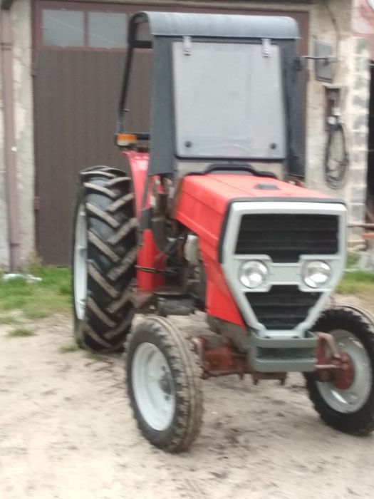 Sadowniczy Massey Ferguson 364V