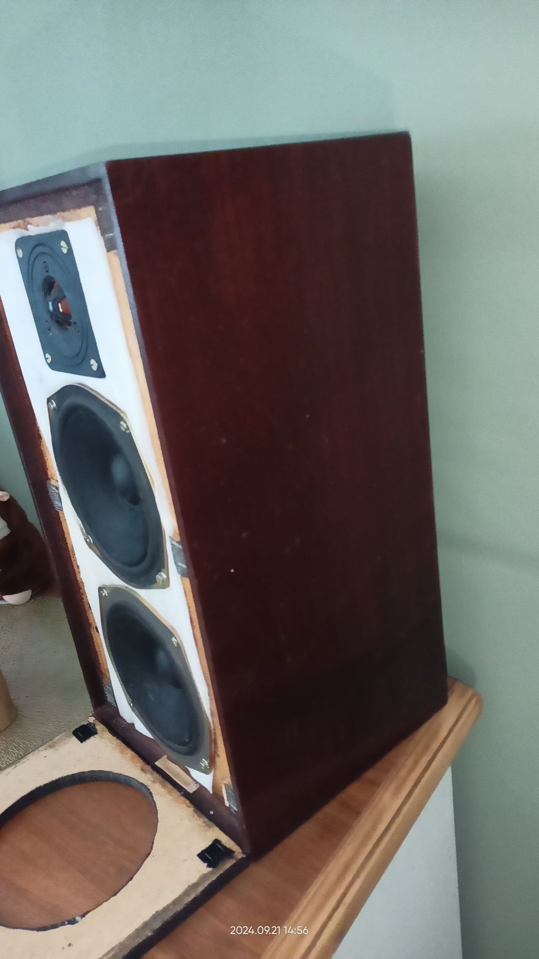 Kolumny Tonsil zg25c