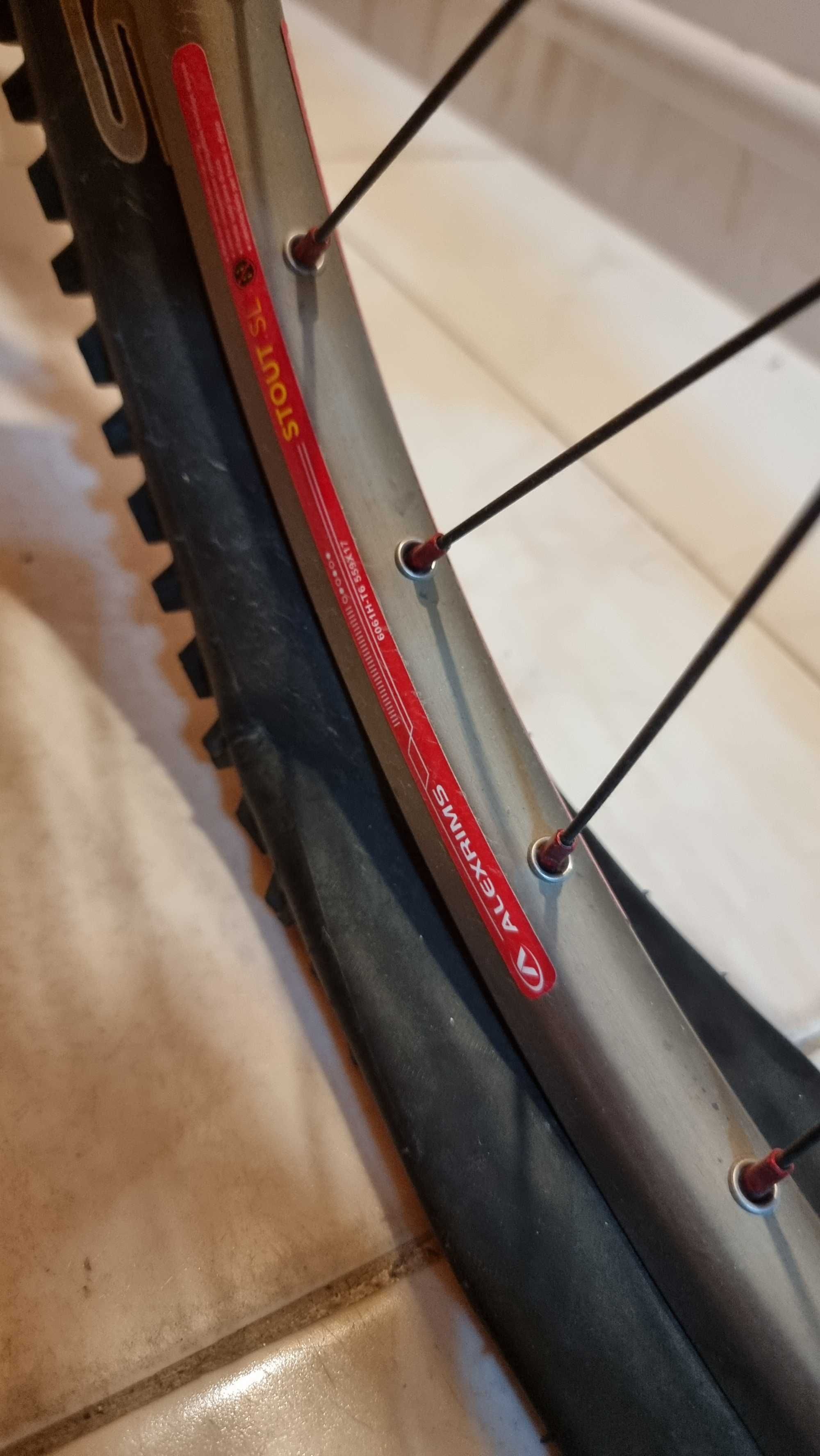 Bicicleta BTT Single Speed