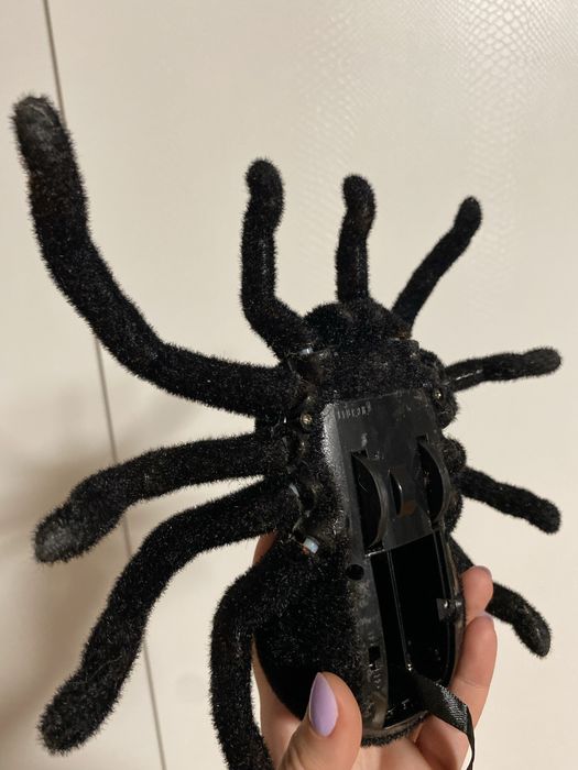 Павук на пульті керування