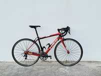 TREK DOMANE 4.1 Carbono
