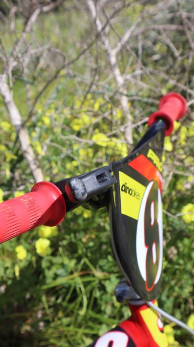 Bicicleta Infantil