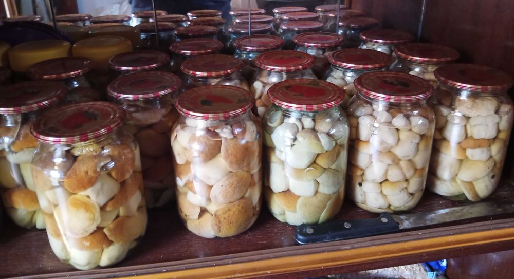 Гриби білі, Закарпаття