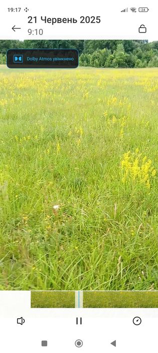 Для господарських потреб - сіно