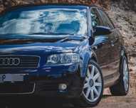 Audi a3 8p 1.9 tdi