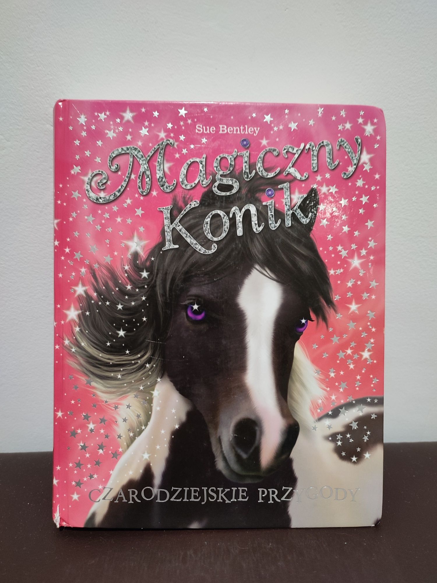 Magiczny konik Czarodziejskie przygody Sue Bentley