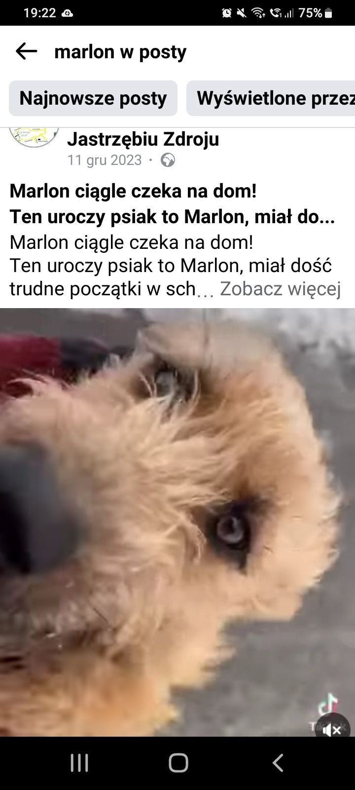 2 letni Marlon marnuje życie , w schronisku